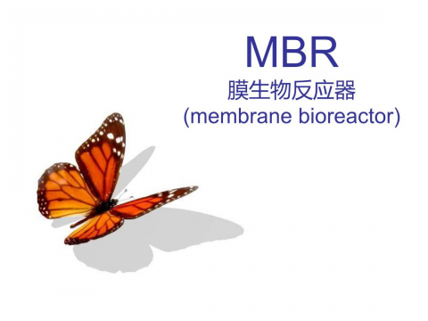 MBR膜進口品牌有哪些？